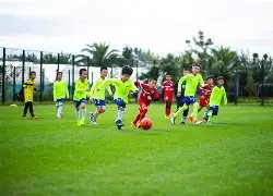 巅峰组合进,球盛宴,凯恩,ManBetX,万博体育,ManBetX官网,万博体育官网,万博体育app