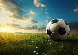 载征程未尝,胜绩,小蜜蜂蓄势,ManBetX,万博体育,ManBetX官网,万博体育官网,万博体育app