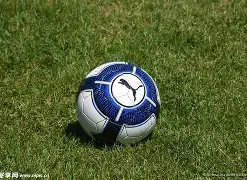 激情对决,赫罗纳迎战,阿拉维斯,ManBetX,万博体育,ManBetX官网,万博体育官网,万博体育app