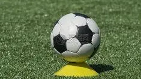 万博体育 资讯 130742 7af