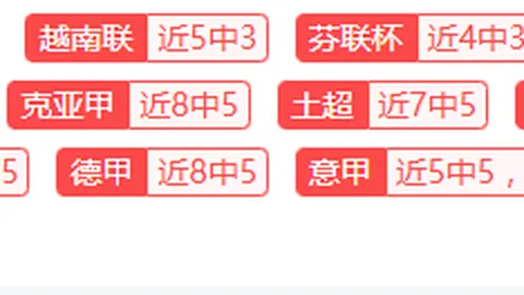 携手前行，共筑繁荣、情谊、美好未来之路