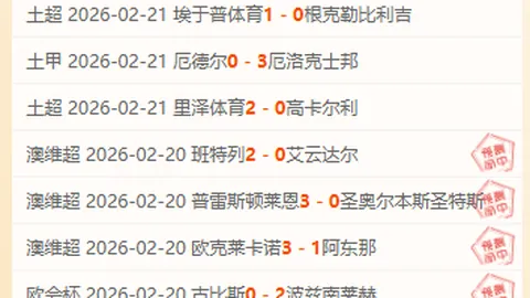 青岛队中超第13轮1-0小负河南嵩山龙门，多拉多点球助力对手终止连败颓势。